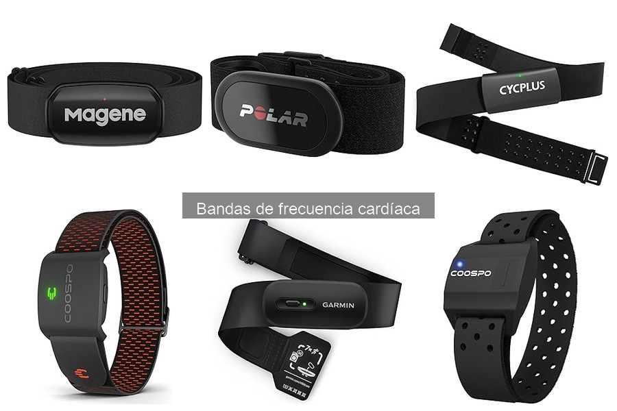 Banda de frecuencia cardíaca vs. reloj deportivo: ¿Cuál elegir?
