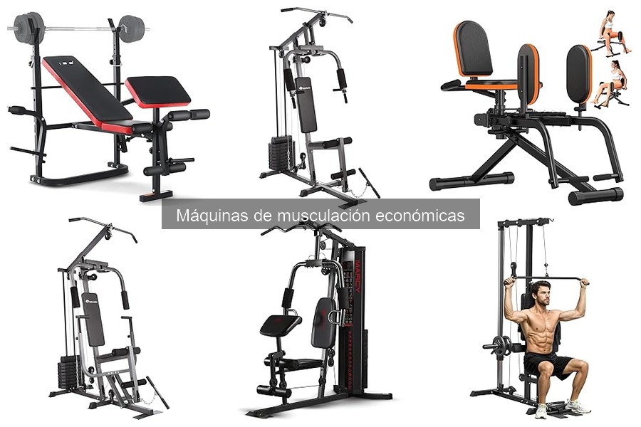 Cómo elegir una máquina de musculación económica adecuada