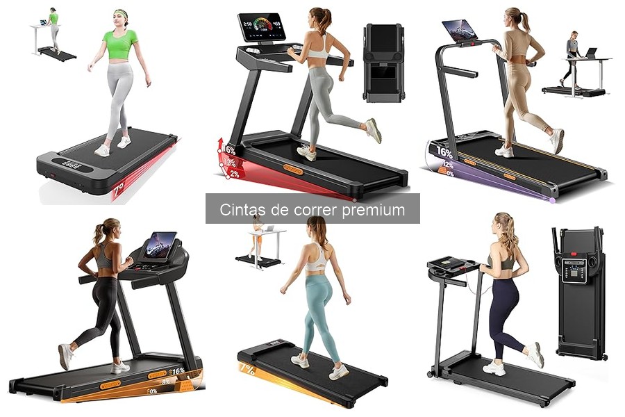 Comparativa: Cintas de Correr Premium vs. Económicas