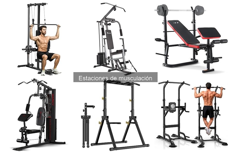Comparativa de las Mejores Estaciones de Musculación