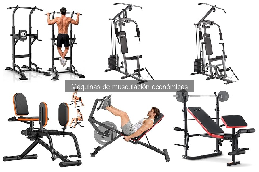 Comparativa de Máquinas de Musculación Económicas vs Alta Gama