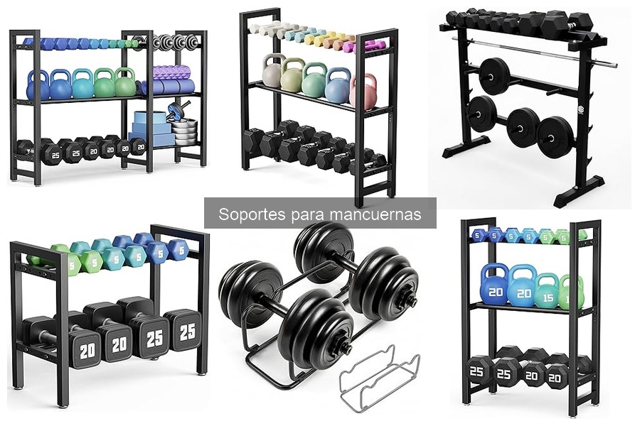 Comparativa: Soportes para Mancuernas Fijas vs Ajustables