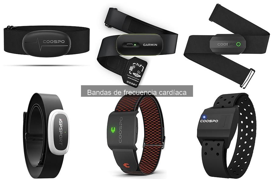 Dónde comprar bandas de frecuencia cardíaca: precios y opciones