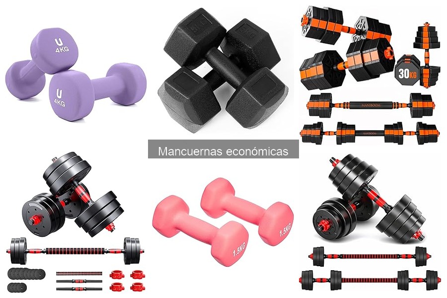 Ejercicios para Principiantes con Mancuernas Económicas