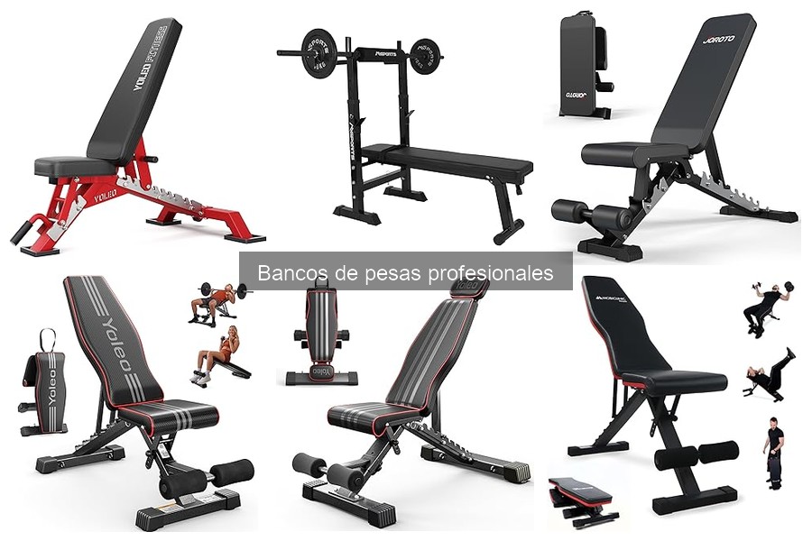 Guía para elegir el mejor banco de pesas profesional