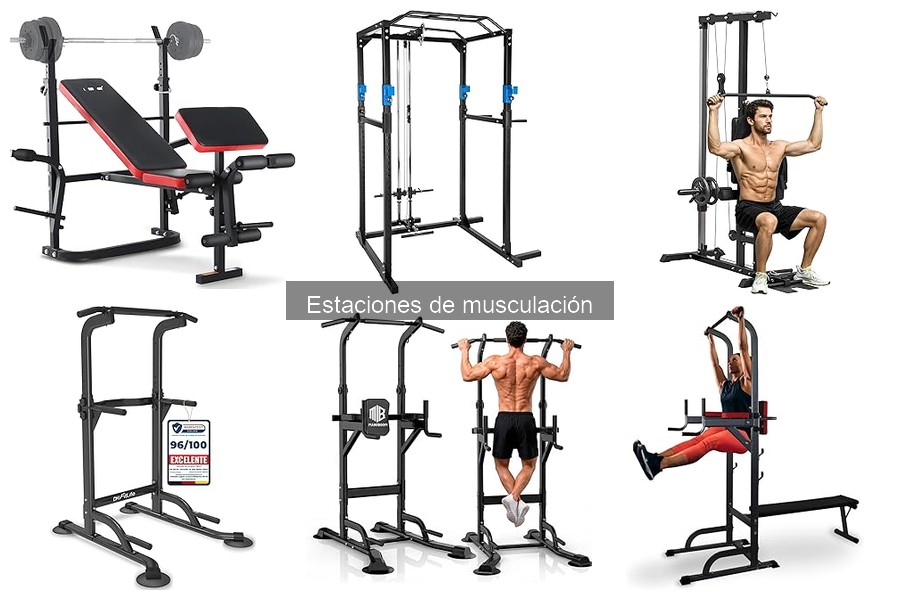 Impacto de las Estaciones de Musculación en tu Fuerza