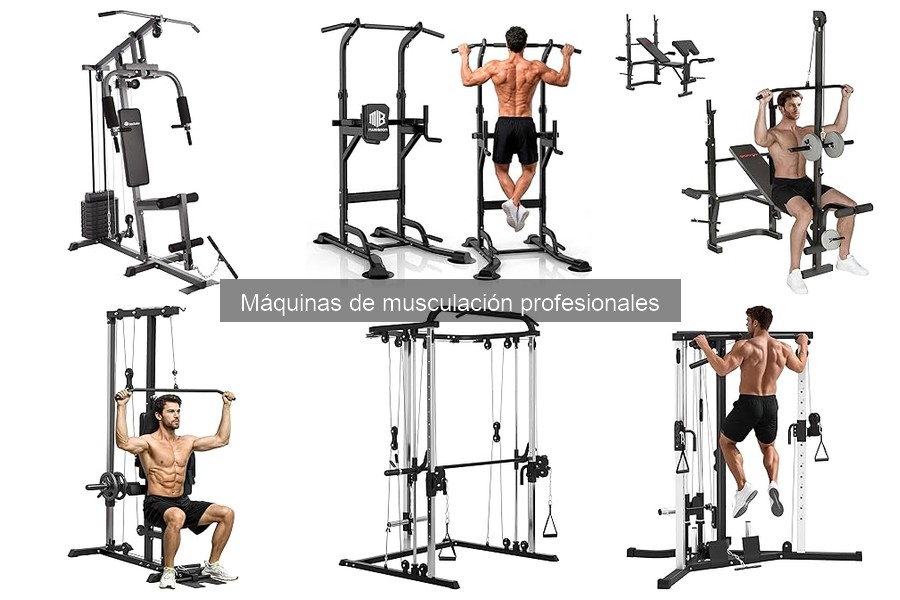 Mantenimiento esencial para máquinas de musculación profesionales
