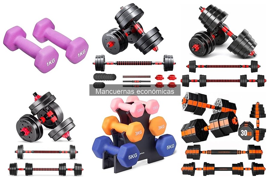 Mejores marcas de mancuernas económicas para entrenar en casa