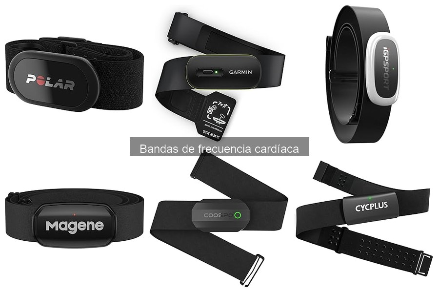 Mejores ofertas en bandas de frecuencia cardíaca 2023