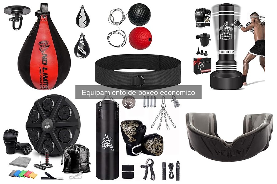 Mejores sacos de boxeo económicos para entrenar en casa