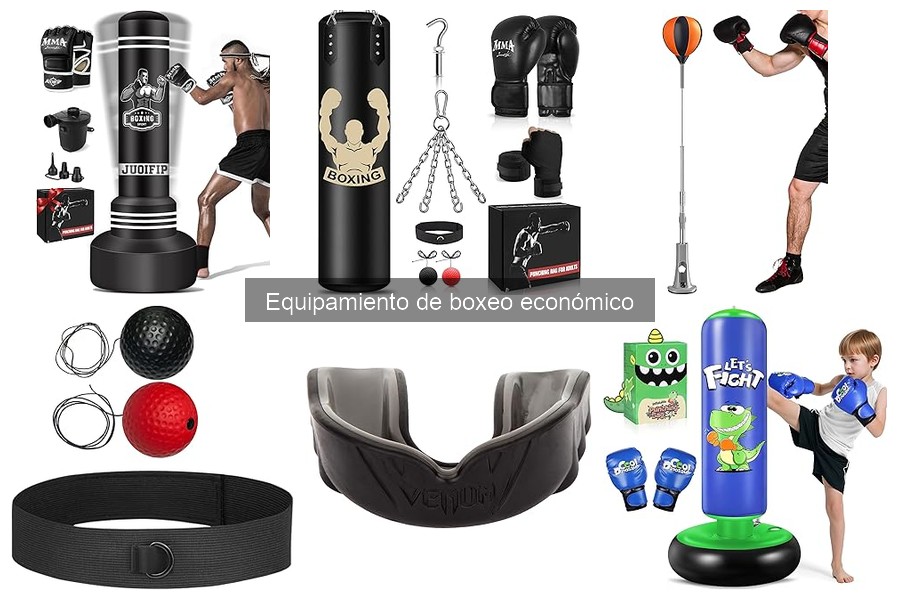 Mejores tiendas para comprar equipamiento de boxeo económico online
