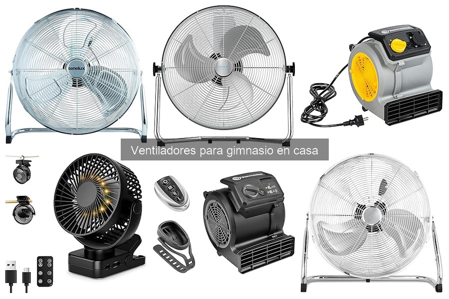 Mejores ventiladores para gimnasio en casa 2023
